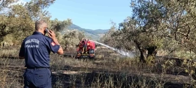 Balıkesir Ziraat Odası Başkanı Demirbay: "Bir yıllık emek bir sigara izmaritiyle k&uuml;l olmasın"
