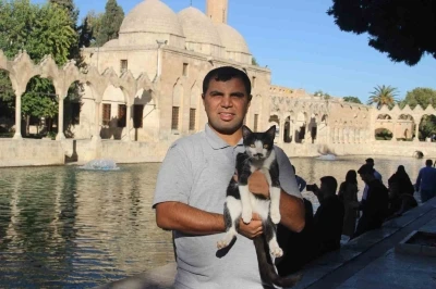 Balıklıgöl’e düşen kedi kalp masajıyla hayata döndü
