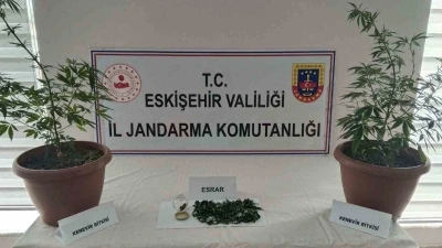 Balkondaki saksıların içinde  2 kök kenevir ve 47 gram esrar maddesi ele geçirildi

