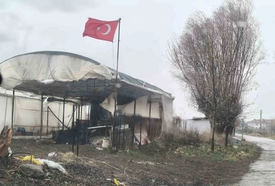 Balkondan d&uuml;şen saksı az kalsın faciaya neden olacaktı
