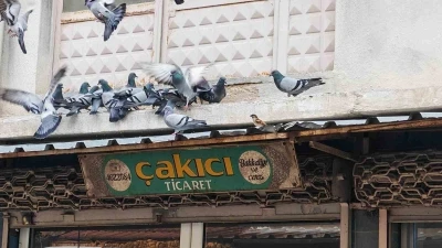 Balkonunu kuşlara sofra yaptı: Demircili esnaftan &ouml;rnek davranış
