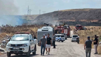 Bandırma’da 3 noktada aynı anda çıkan yangın ormana sıçramadan kontrol altına alındı
