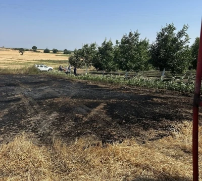 Bandırma&rsquo;da &ccedil;ıkan anız yangını b&uuml;y&uuml;meden s&ouml;nd&uuml;r&uuml;ld&uuml;
