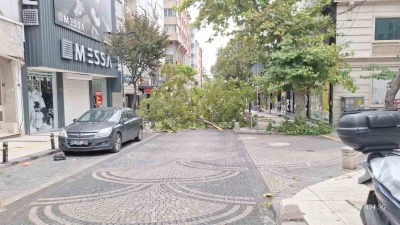 Bandırma’da gece yarısı fırtına: Ağaçlar devrildi, araçlar zarar gördü
