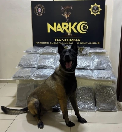 Bandırma&rsquo;da g&uuml;bre torbalarının altına gizlenen 11,2 kilo skunk ele ge&ccedil;irildi
