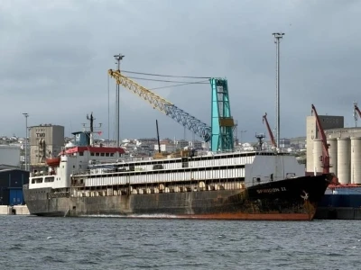 Bandırma’daki hayvan ithalatı tartışması yargıya taşındı
