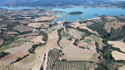 Baraj &ccedil;evresi bal ormanına d&ouml;n&uuml;ş&uuml;yor
