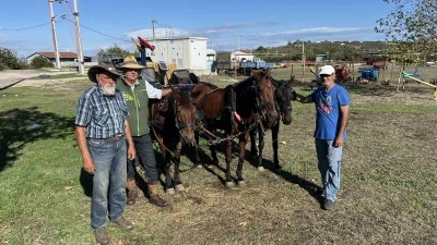 Barış için at üzerinde 4 bin 800 kilometre
