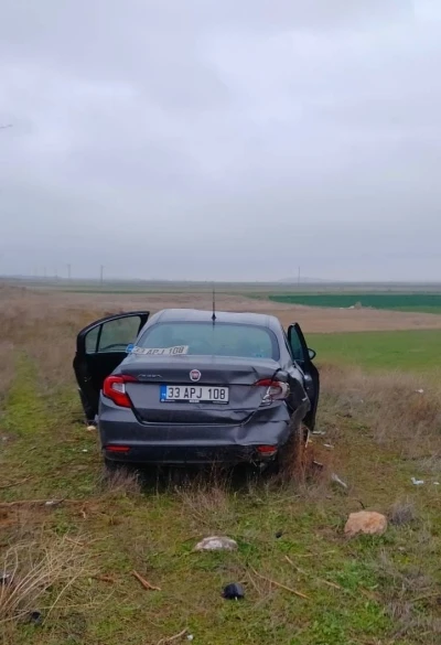 Bariyerlere &ccedil;arpıp tarım arazisine giren otomobilde 5 kişi yaralandı
