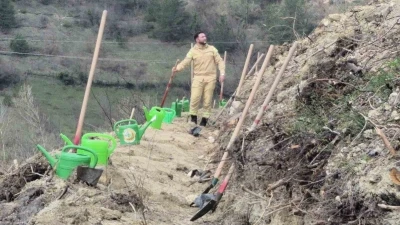 Bartın&rsquo;da ge&ccedil;en yıl yanan ormana 400 fidan dikildi
