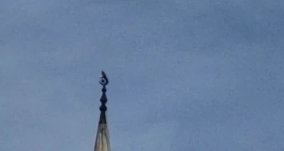 Bartın’da gökdoğan heyecanı
