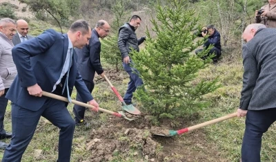 Bartın&rsquo;da h&uuml;k&uuml;ml&uuml;ler fidan dikti
