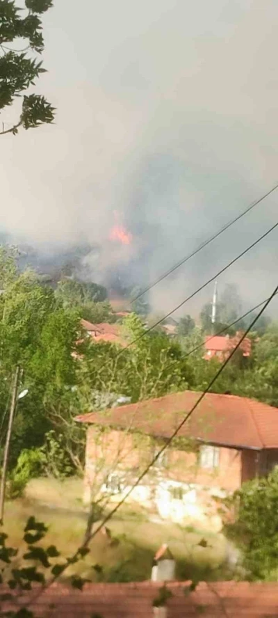 Bartın’da orman yangını: Alevler rüzgarın etkisiyle yerleşim yerini tehdit ediyor
