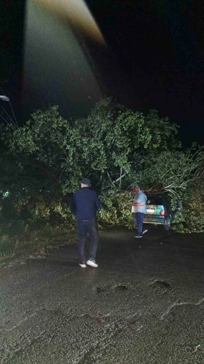 Bartın&rsquo;da şiddetli fırtına: ağa&ccedil;lar Otomobillerin &uuml;zerine devrildi
