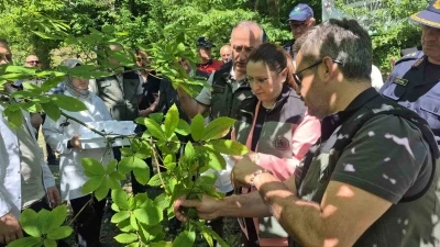 Bartın&rsquo;da terminat&ouml;r b&ouml;ceklerin katil arılarla m&uuml;cadelesi sonu&ccedil; vermeye başladı

