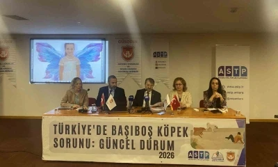 Başıboş k&ouml;pek mağdurları panelde buluştu
