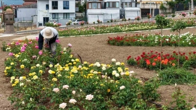 Başiskele&rsquo;de 15 bin g&uuml;l&uuml;n a&ccedil;tığı bah&ccedil;ede g&ouml;rsel ş&ouml;len
