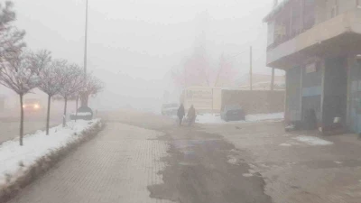 Başkale’de sis etkili oldu
