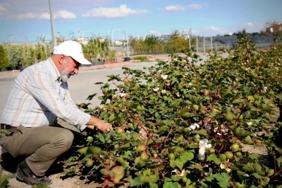 Başkan Çolakbayrakdar: &quot;Türkiye’nin en kapsamlı fidanlığıyla Kayseri’nin yeşil dokusu zenginleşiyor&quot;
