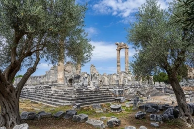 Başkan Gençay: &quot;Zeytin ağacı Didim’in hafızasıdır&quot;
