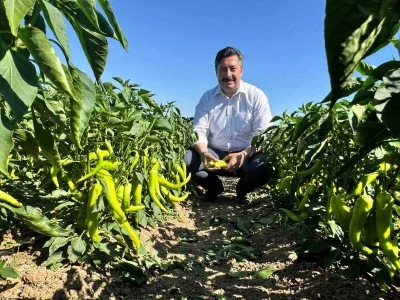 Başkan Özel’den tarım işçilerine ziyaret
