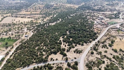 Başkan Pehlivan: &quot;Menemen’in eşsiz doğasına çöp döktürmeyeceğiz&quot;
