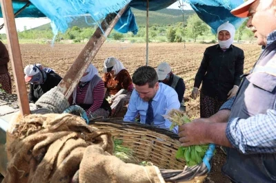 Başkan Tatık&rsquo;tan t&uuml;t&uuml;n firmalarına &rsquo;Alım takvimi a&ccedil;ıklayın&rsquo; &ccedil;ağrısı
