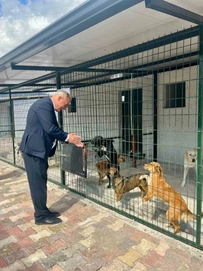 Başkan Yıldırımkaya: &quot;Sultanhisar’da can dostlar emin ellerde&quot;
