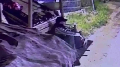 Başkasına ait beğendiği ayakkabıyı &ccedil;alarken kameralara yakalanan su&ccedil; makinesi tutuklandı
