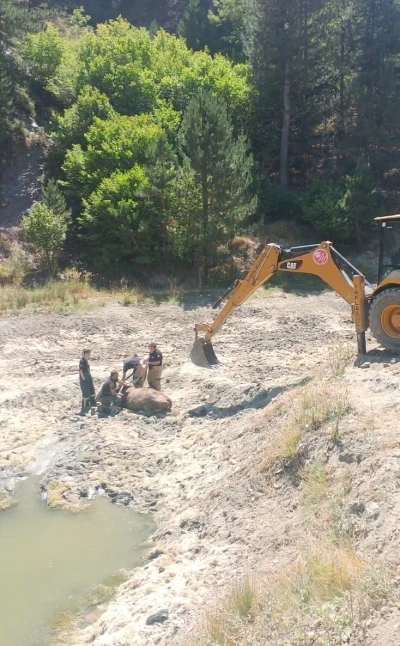 Bataklığa saplanan ineği itfaiye ekipleri kurtardı
