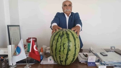 Batman’da 45 kiloluk karpuz dikkat çekti
