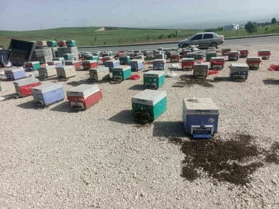 Batman&rsquo;da ara&ccedil; arızalanınca binlerce arı telef oldu
