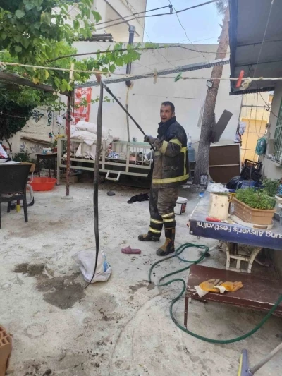 Batman&rsquo;da evin bah&ccedil;esine giren yılan paniğe neden oldu
