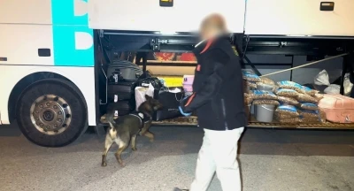 Batman&rsquo;da narkotik k&ouml;peği "Hector" zehir tacirlerine ge&ccedil;it vermedi
