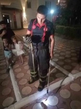 Batman’da site bahçesinde yılan paniği