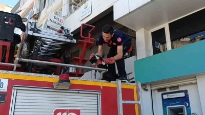 Batman&rsquo;da vefakar kedi arkadaşını yalnız bırakmadı
