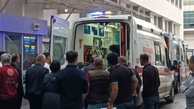 Batman&rsquo;da yıldırımın isabet ettiği &ccedil;oban ağır yaralandı
