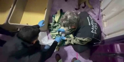 Battaniyeye zulalanan uyuşturucuyu narkotik k&ouml;peği buldu
