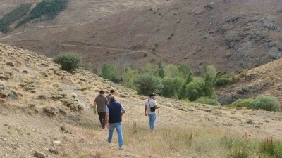 Bayburt’ta annesini kaybeden yavru ayı köyü alarma geçirdi
