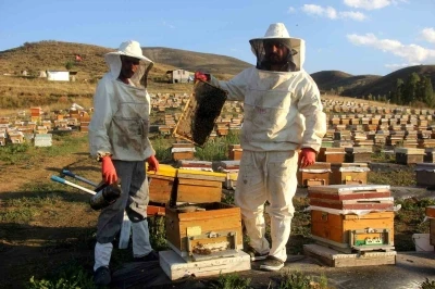Bayburt’ta arıcıların bal hasadı sürüyor
