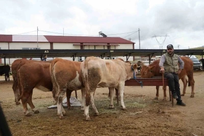 Bayburt’ta canlı hayvan pazarı yeniden hizmete açıldı
