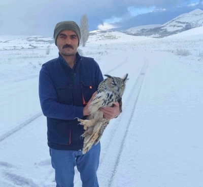 Bayburt&rsquo;ta duyarlı vatandaşın yaralı halde bulduğu puhu kuduz &ccedil;ıktı
