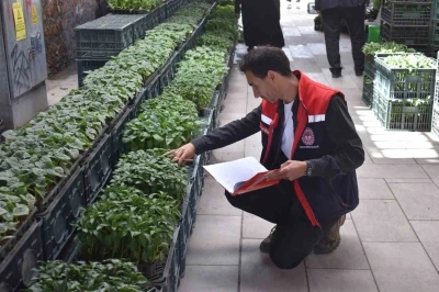 Bayburt&rsquo;ta fide ve fidan satış yerleri denetlendi
