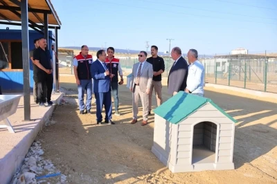 Bayburt’ta Hayvan Bakım Evi ve Doğal Yaşam Alanı ile hayvan barınağında incelemeler yapıldı
