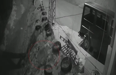 Bayburt&rsquo;ta k&ouml;ye inen a&ccedil; ayı kurdun tavşanı kovaladığı noktada yiyecek aradı
