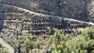 Bayburt’ta minik eller ‘Yeşil Vatan’ için fidan dikti
