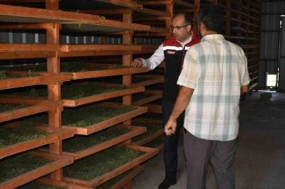 Bayburt’ta Tarhun Kurutma Tesisi ve üretim alanları incelendi
