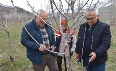 Bayburt&rsquo;ta &uuml;reticilere aşılama ve budama eğitimi verildi
