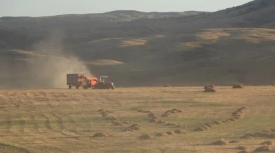 Bayburt’un Çayırköprü köyünde 194 balya ot çalındı
