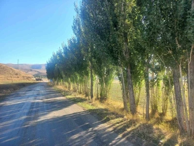 Bayburtlu vatandaştan DSİ’ye tepki: &quot;Hiçbir gerekçe göstermeden fidanlarımızı katletmek istiyorlar&quot;
